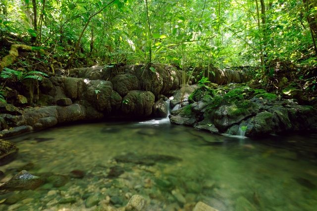 Biósfera de la Sierra de Manantlán: una reserva de manantiales para visitar en Costalegre - DestinosFun!