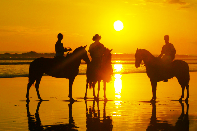 Paseos a caballo por las costas de Nuevo Vallarta