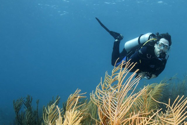 Animate a explorar las profundidades del mar en tu viaje a Punta Mita
