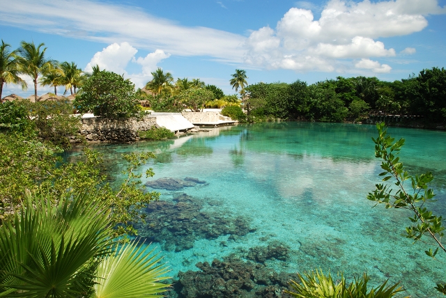 Visit the Cozumel Reef National Park a beautiful protected area in Cozumel