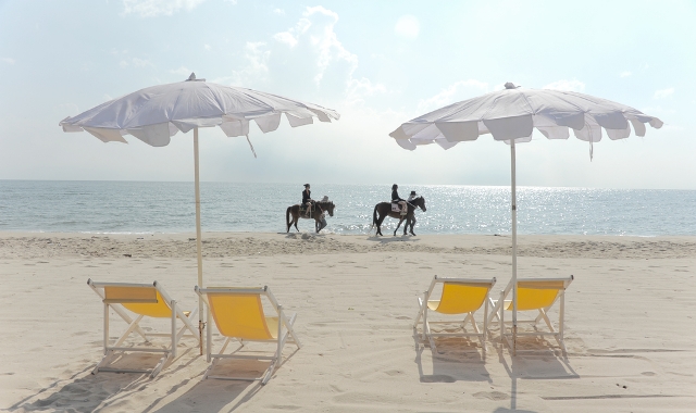Horseback Ride Down the Sandy Beaches of Cancun