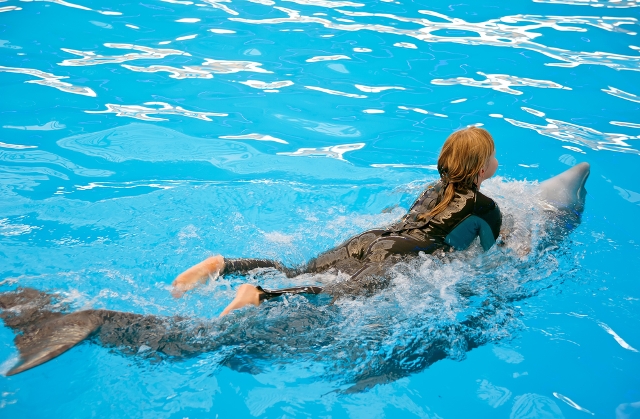 Swim with Dolphins While Enjoying your Vacation