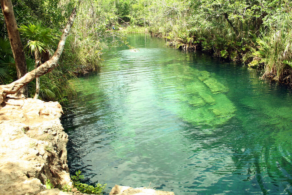 Cenotes na Riviera Maya