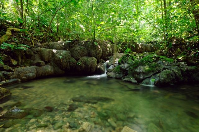 Biosfera de la Sierra de Manantlán