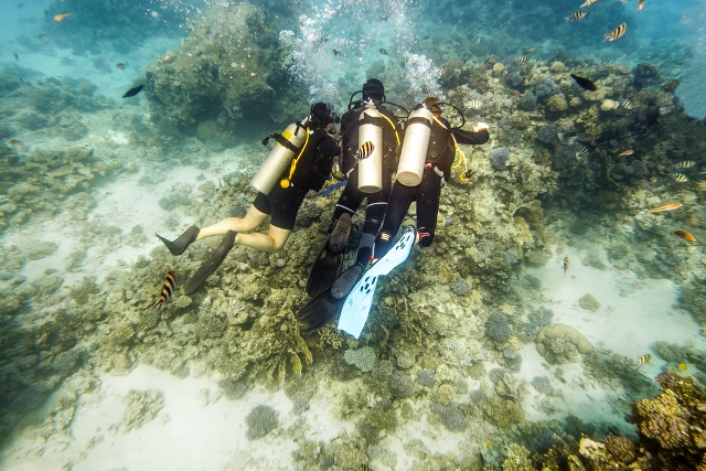 Buceo la actividad por excelencia en Cancún (2)