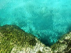 Cenotes, formaciones naturales y sagradas para contemplar en Riviera Maya