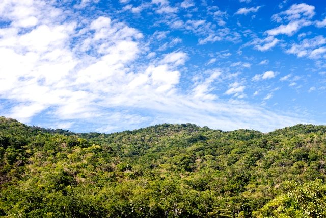 Islas Marietas, Vallarta en Nayarit