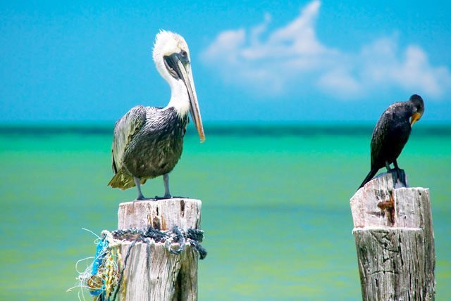 Laguna Yalahau, la fuente de la juventud en Holbox