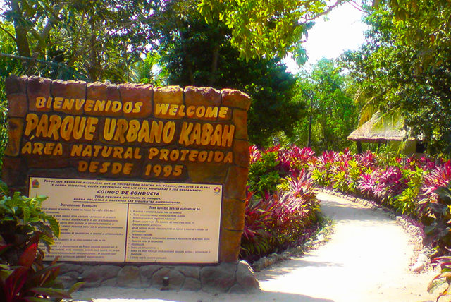 Parque Ecológico Kabah   naturaleza, historia y cultura para tu deleite