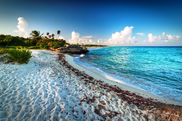 Playa del Carmen disfruta de su ambiente caribeño y finos mantos de blanca arena