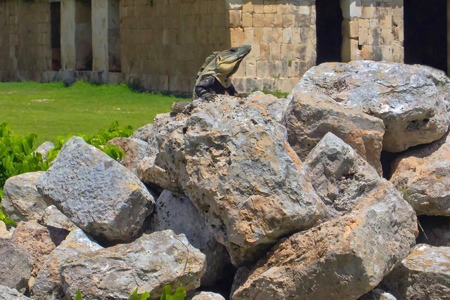 Recorre Dzibilchaltun: arqueología e historia colonial en un solo lugar