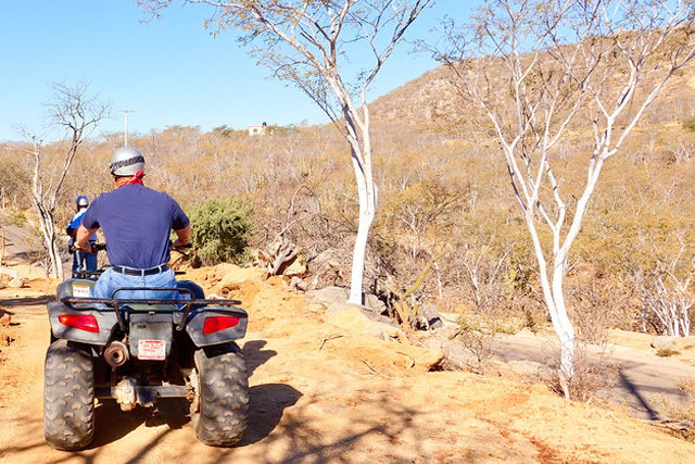 Tour ATV en Canopy River, adrenalina para tu viaje por Vallarta