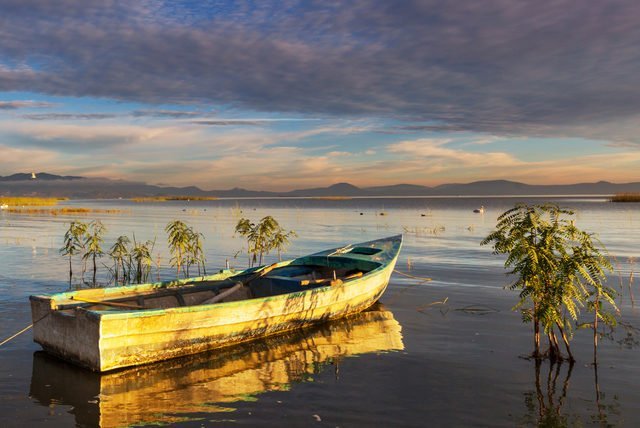 Un dia de pesca en la costa de Bucerias