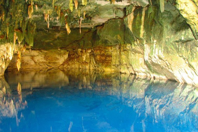 Visita los tres cenotes que te esperan en Cuzama, ¡y deja que la naturaleza te sorprenda!