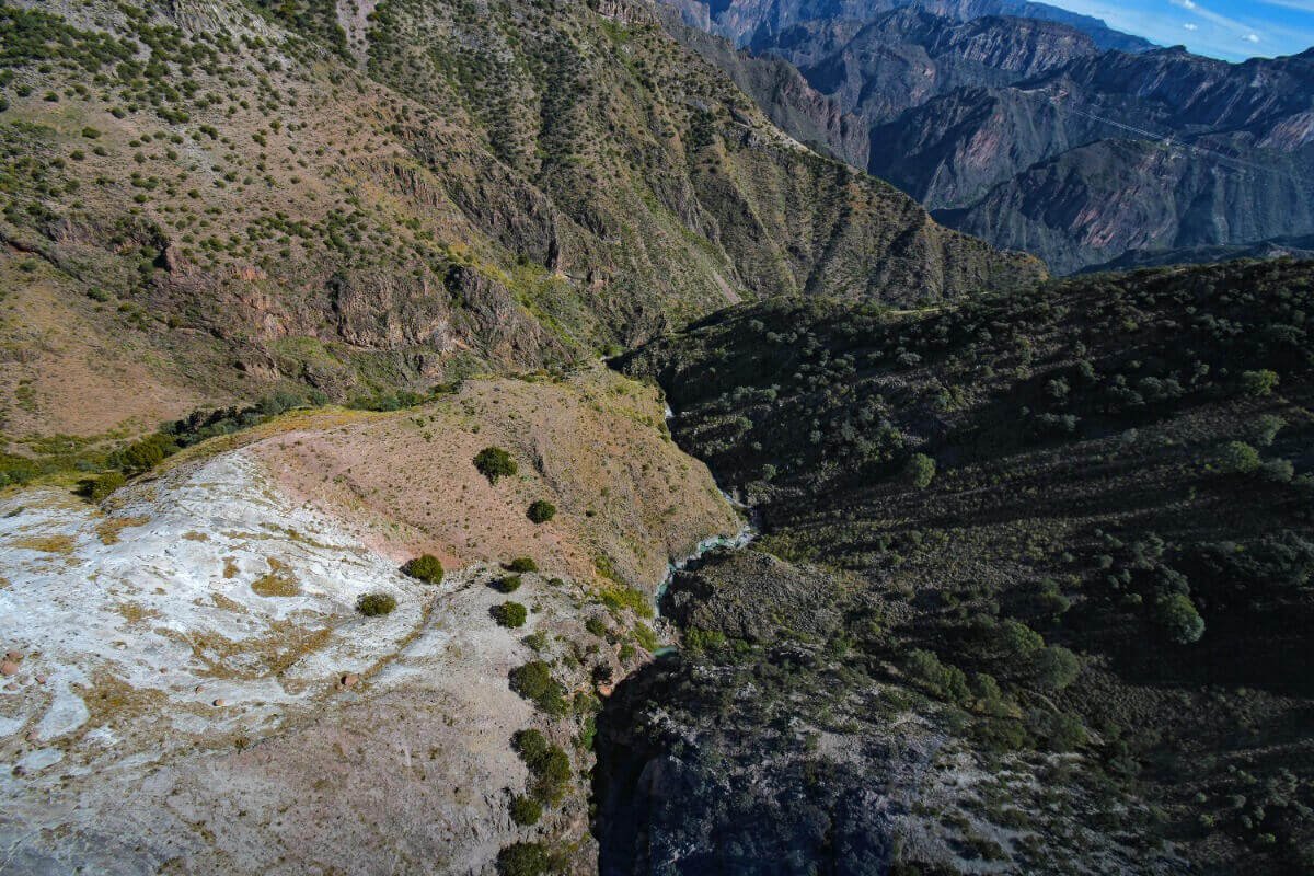 El-canon-del-peguis El-canon-del-peguis